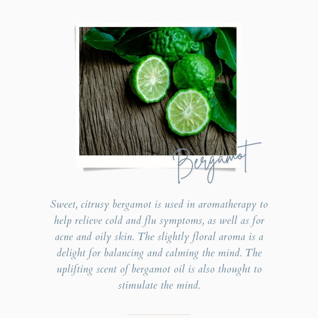 Bergamot Ingredient Benefits l Earl Grey blends l The Cove Tea Company